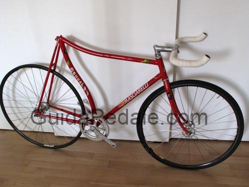 Daccordi Pursuit scheda tecnica e recensioni